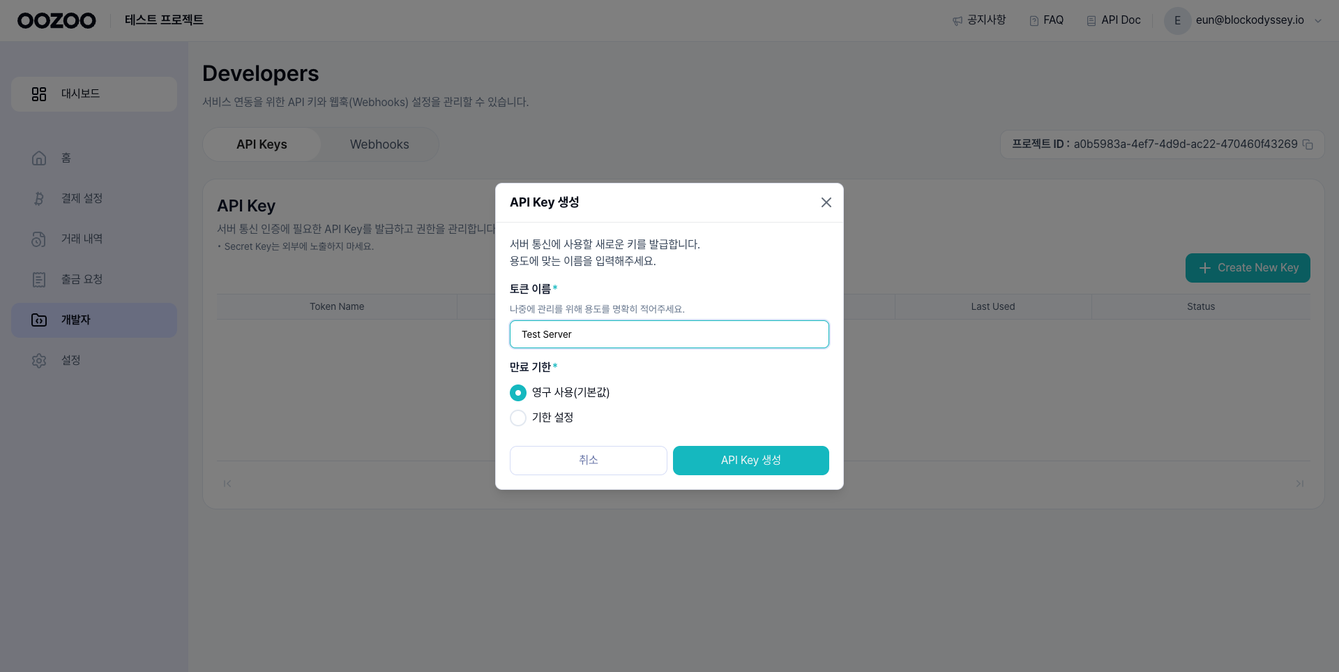 API key modal
